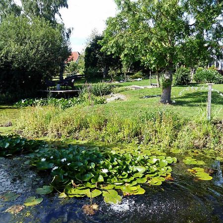 "Balmgarten" Im Naturpark Usedom, Bio Solarhaus Mit Grossem Garten Kültér fotó