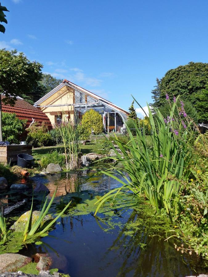 "Balmgarten" Im Naturpark Usedom, Bio Solarhaus Mit Grossem Garten Kültér fotó