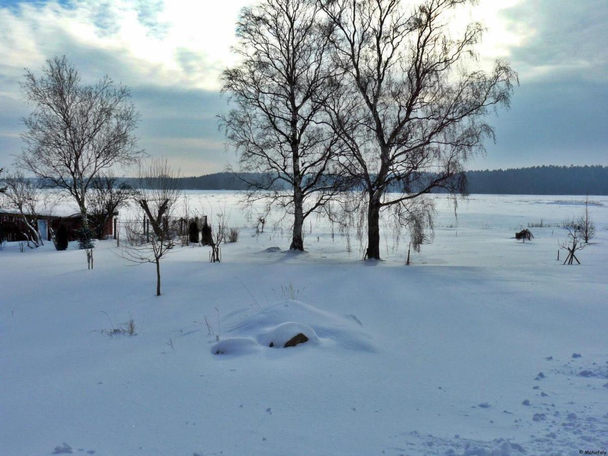 "Balmgarten" Im Naturpark Usedom, Bio Solarhaus Mit Grossem Garten Kültér fotó