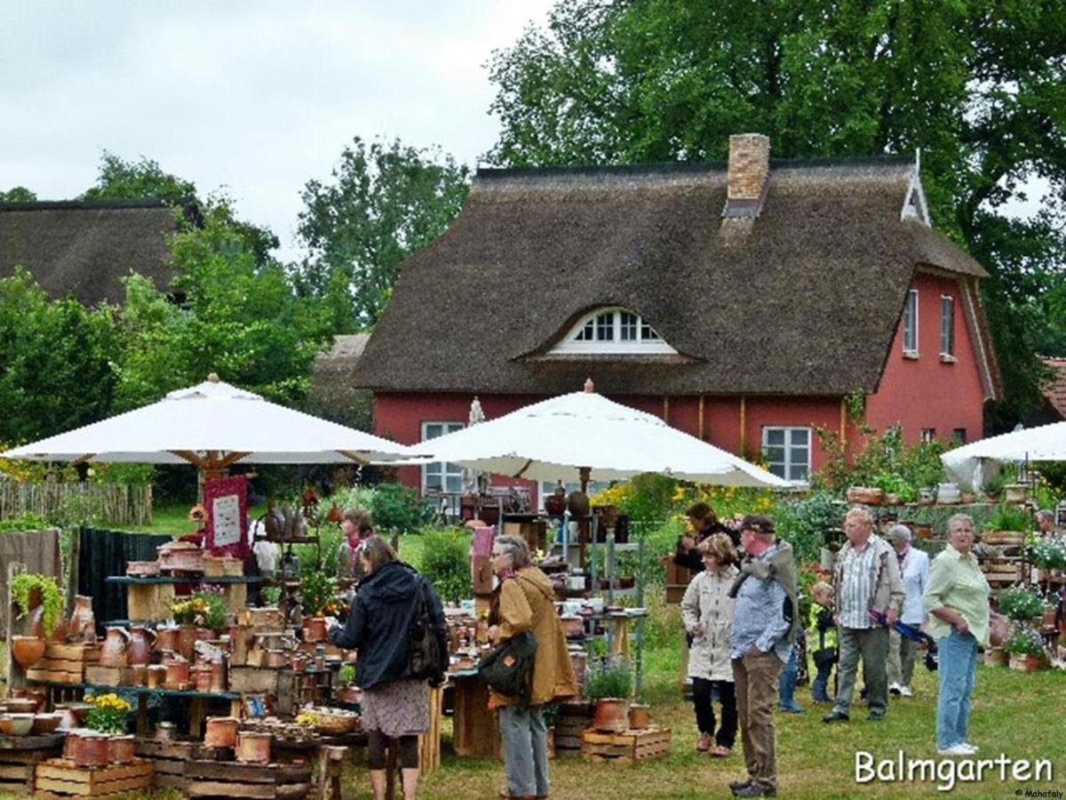 "Balmgarten" Im Naturpark Usedom, Bio Solarhaus Mit Grossem Garten Kültér fotó