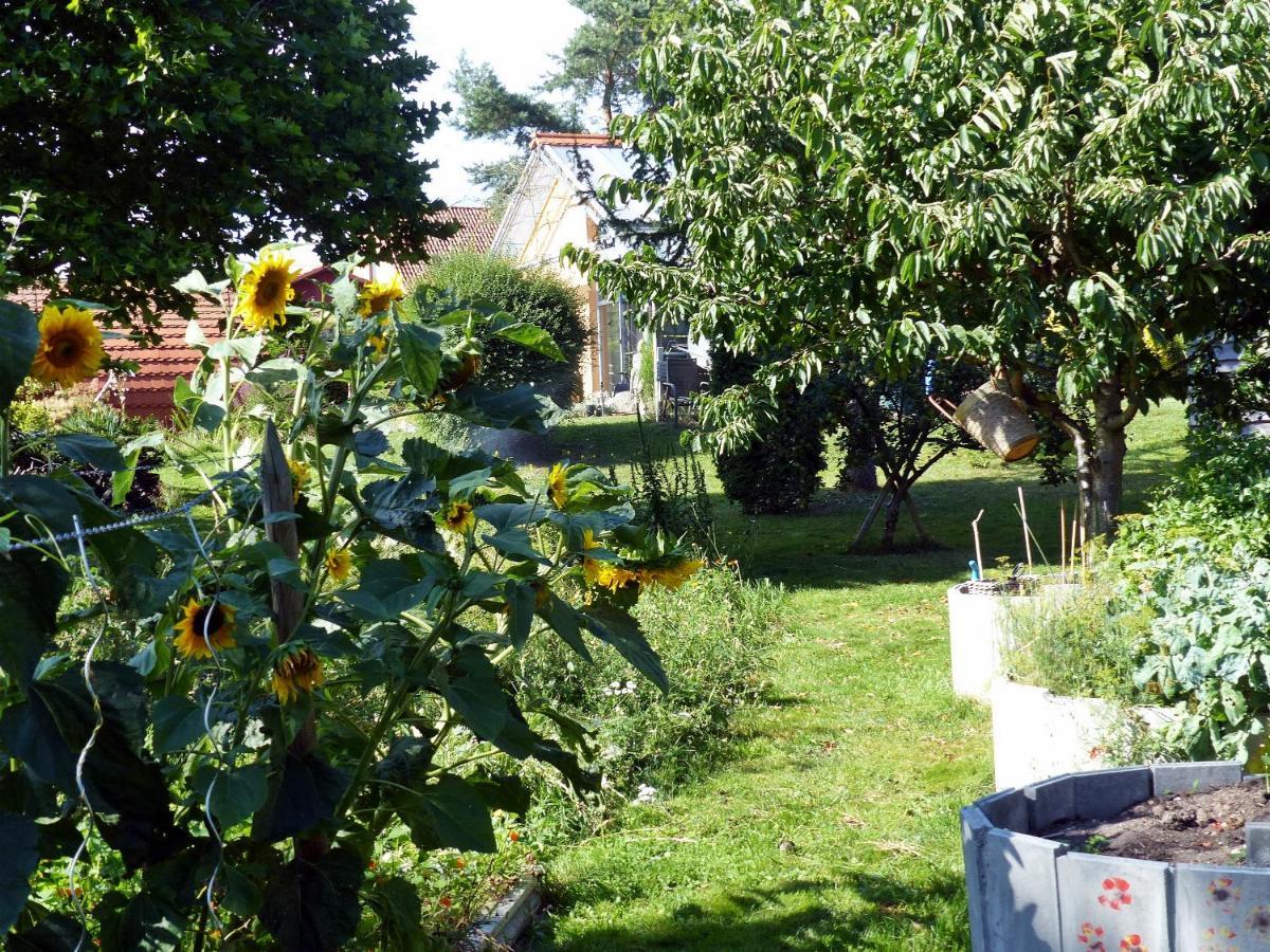 "Balmgarten" Im Naturpark Usedom, Bio Solarhaus Mit Grossem Garten Kültér fotó