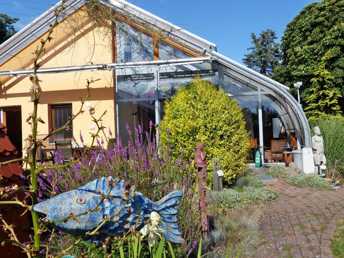 "Balmgarten" Im Naturpark Usedom, Bio Solarhaus Mit Grossem Garten Kültér fotó