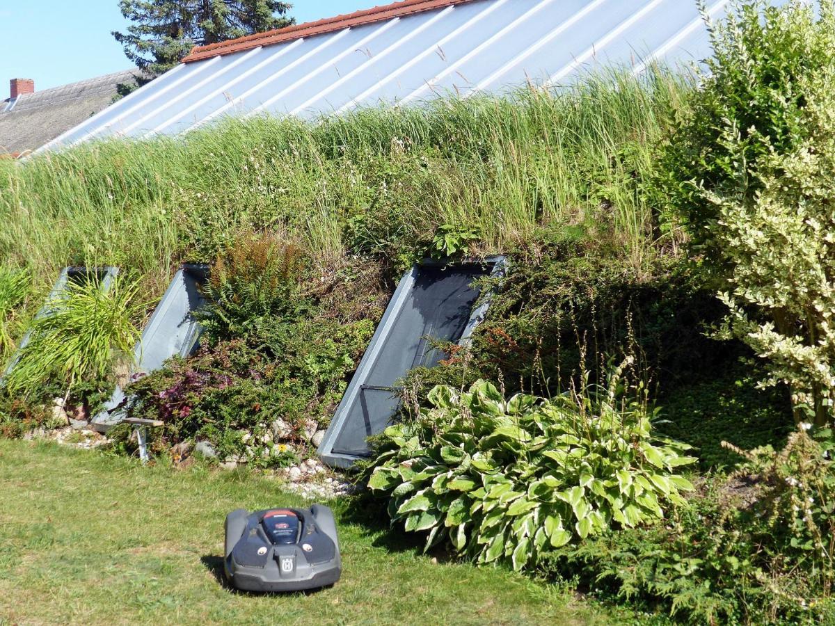 "Balmgarten" Im Naturpark Usedom, Bio Solarhaus Mit Grossem Garten Kültér fotó