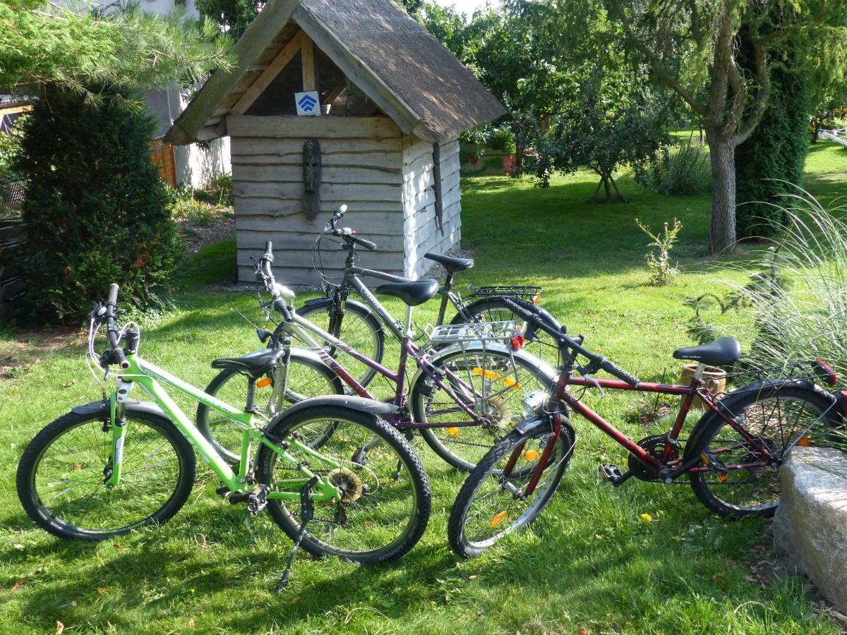 "Balmgarten" Im Naturpark Usedom, Bio Solarhaus Mit Grossem Garten Kültér fotó