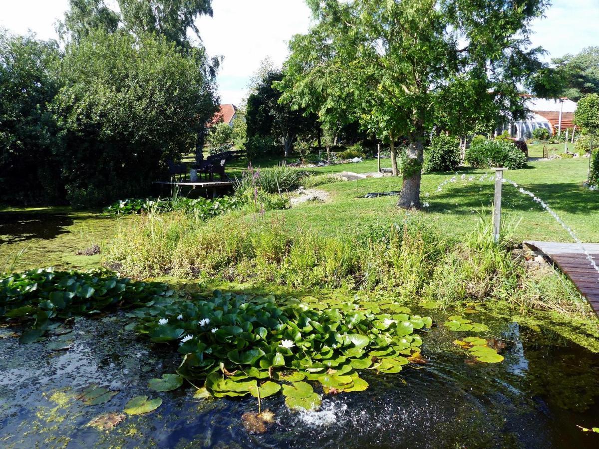 "Balmgarten" Im Naturpark Usedom, Bio Solarhaus Mit Grossem Garten Kültér fotó